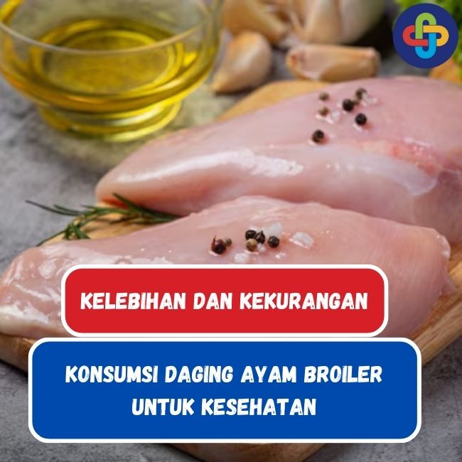 3 Kelebihan dan Kekurangan Konsumsi Daging Ayam Broiler Bagi Kesehatan